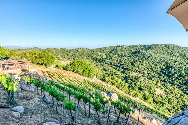 a view of a balcony with two chairs and a potted plant