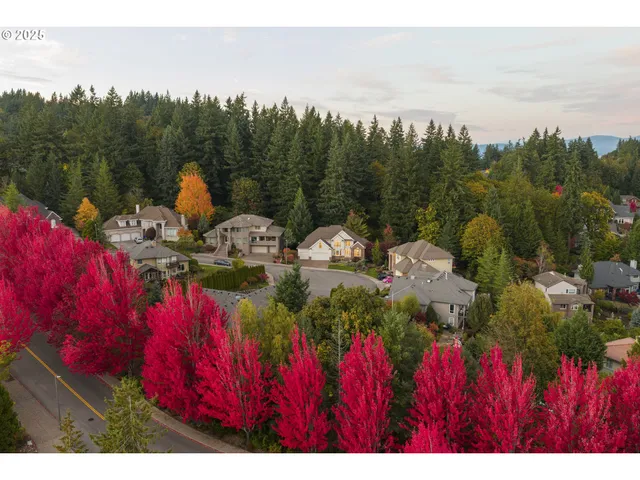 a view of a plant in a garden