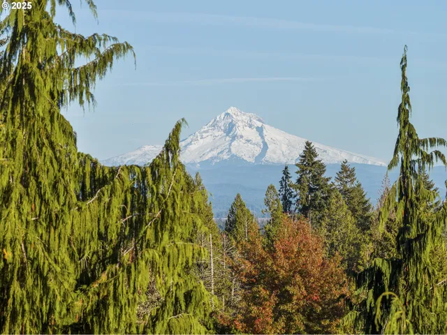 a front view of a house with a garden and fountain