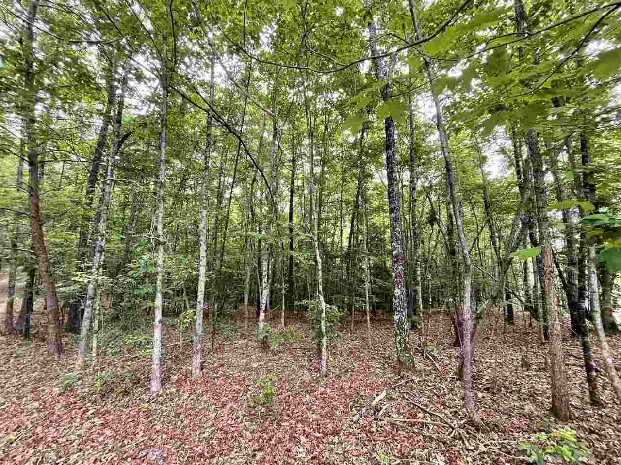 0 Laurel Ridge Road, Unit LOT 4 Cleveland, GA 30528 - Photo 1 of 1 a view of an outdoor space with lots of trees