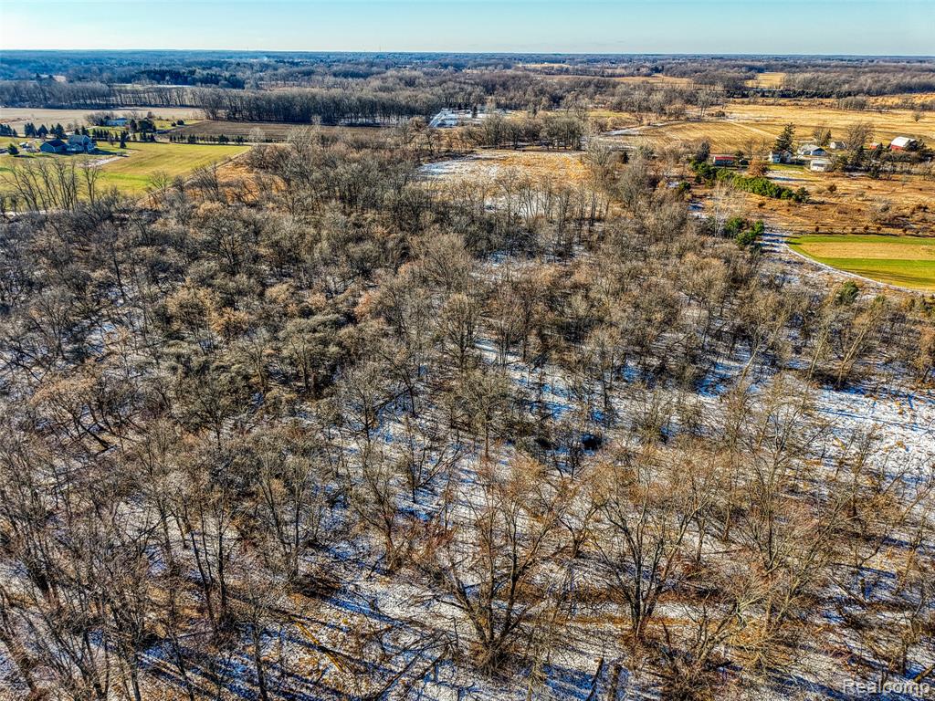 10525 Godfrey Road Bancroft, MI 48414 - Photo 8 of 9 Gallery Image 8