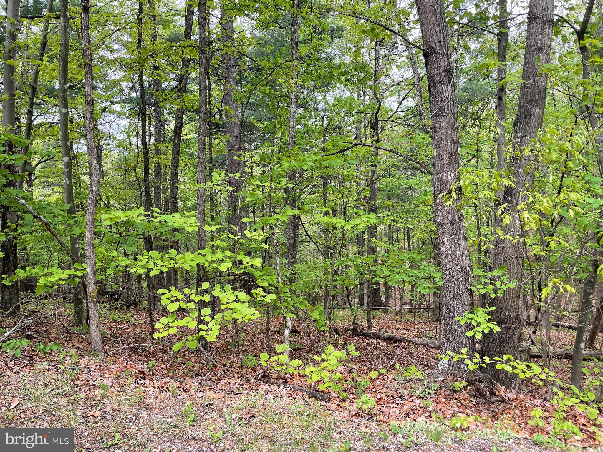 7 A Section Clark Road Mount Jackson, VA 22842 - Photo 20 of 20