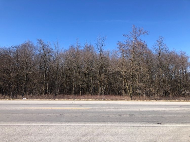 Tbd East Sr 10 Demotte, IN 46310 - Photo 2 of 7