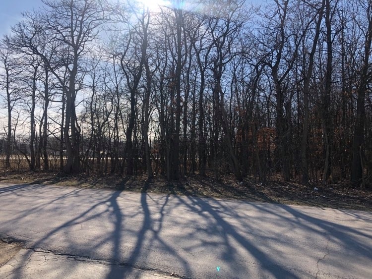 Tbd East Sr 10 Demotte, IN 46310 - Photo 4 of 7