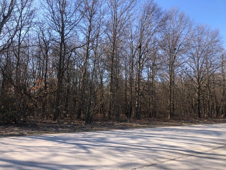 Tbd East Sr 10 Demotte, IN 46310 - Photo 5 of 7