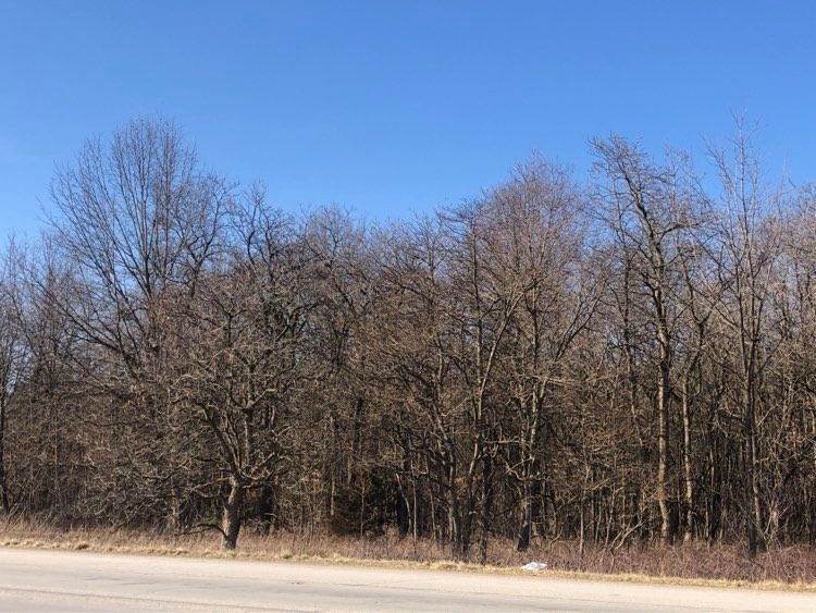 Tbd East Sr 10 Demotte, IN 46310 - Photo 6 of 7