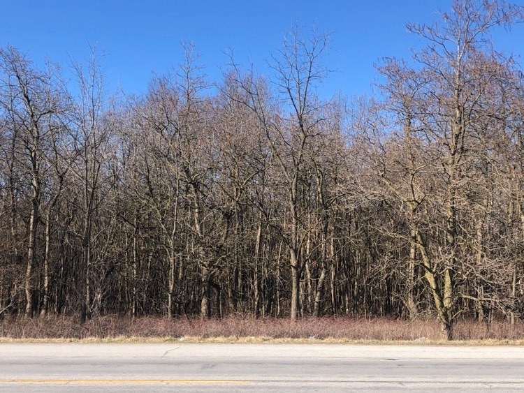 Tbd East Sr 10 Demotte, IN 46310 - Photo 7 of 7