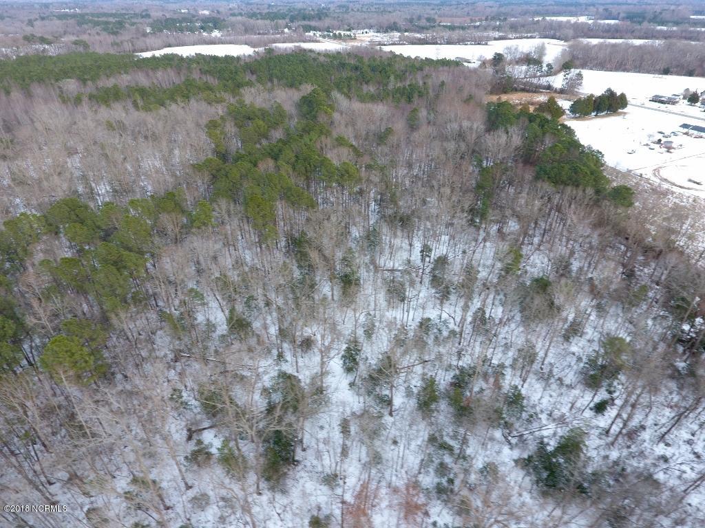 26.89 Bynum Farm Road Pinetops, NC 27864 - Photo 6 of 43 6 (1024x768)