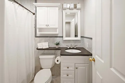 a bathroom with a sink and a toilet