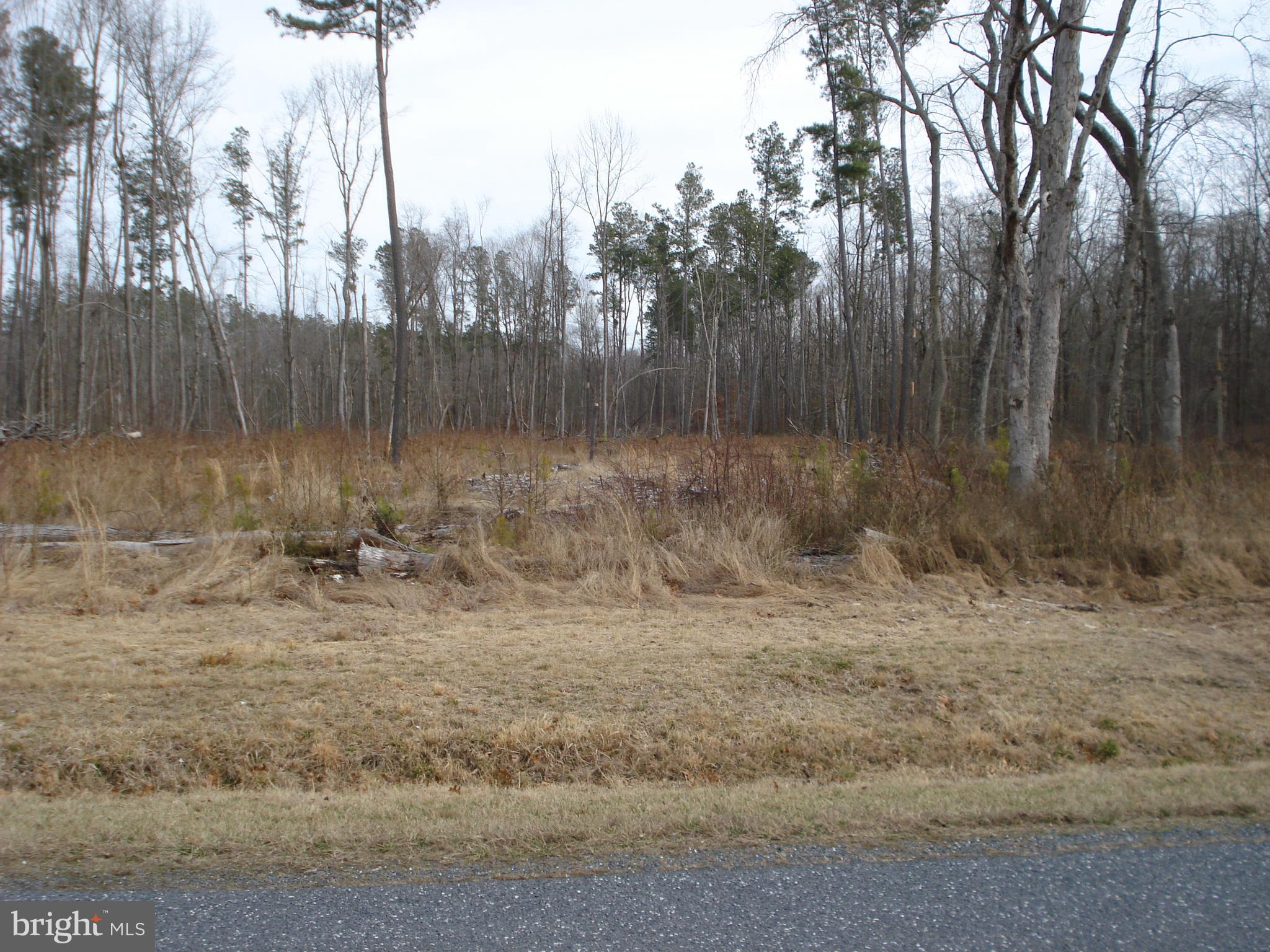 Northeast Busic Church Road Marydel, MD 21649 - Photo 2 of 7