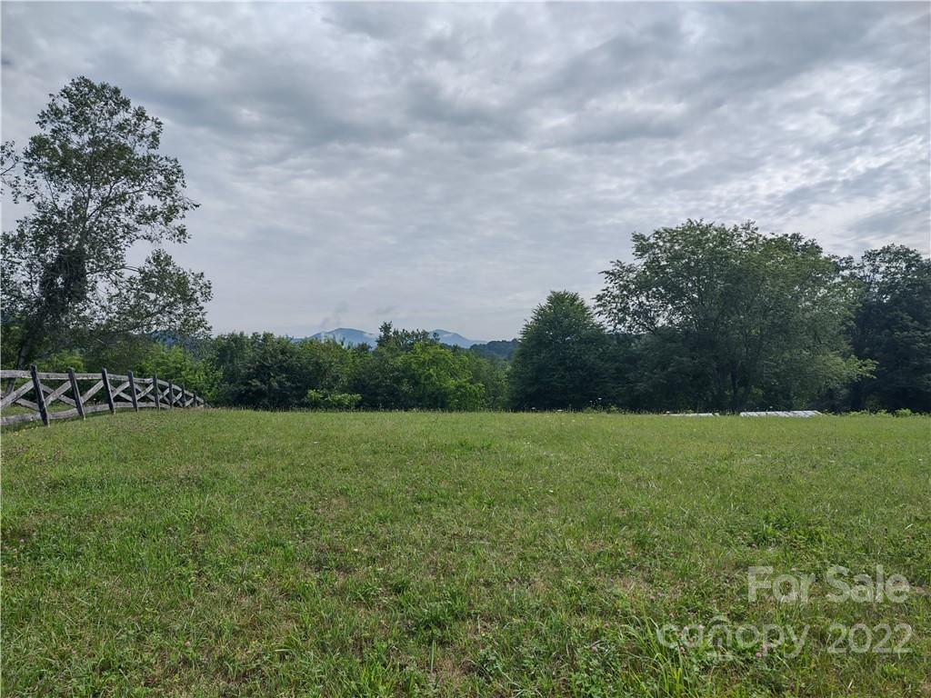 171 Riley Trull Road Canton, NC 28716 - Photo 17 of 31 a view of field with tall trees