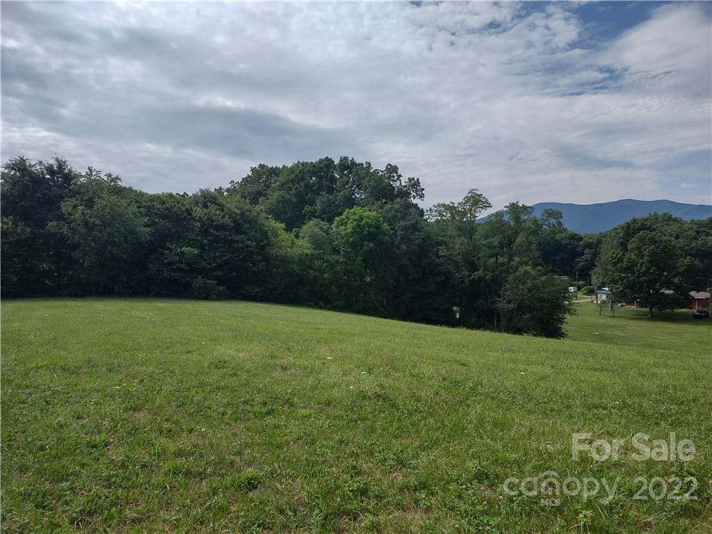 171 Riley Trull Road Canton, NC 28716 - Photo 21 of 31 a view of an outdoor space and a yard