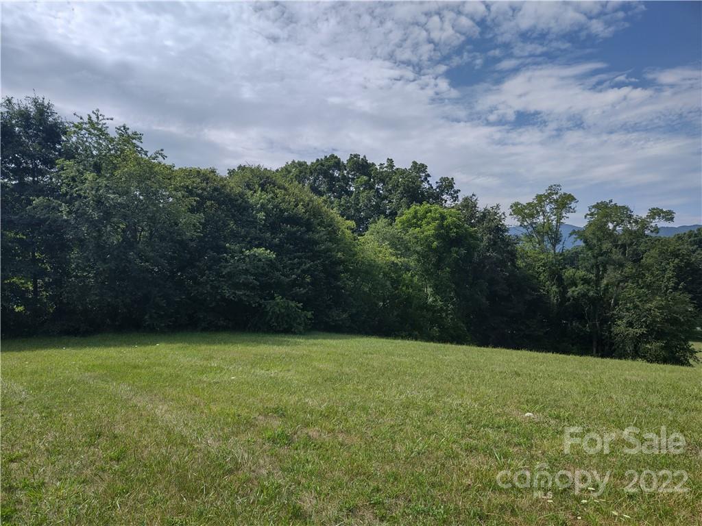 171 Riley Trull Road Canton, NC 28716 - Photo 23 of 31 a view of a field of grass and trees