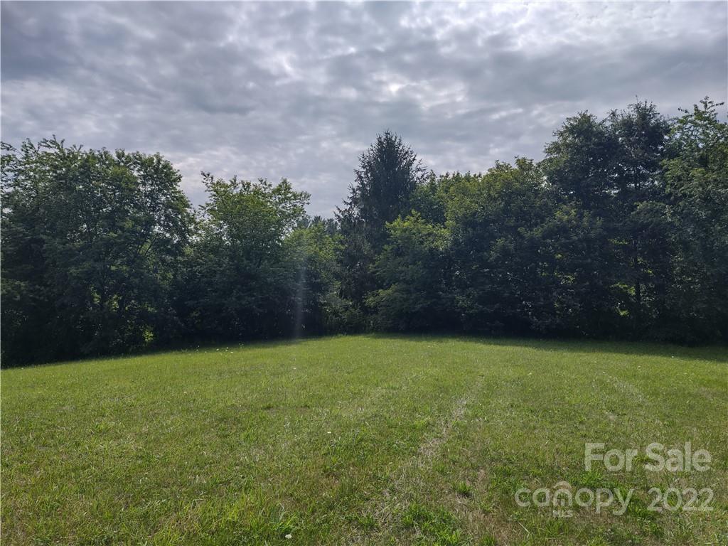 171 Riley Trull Road Canton, NC 28716 - Photo 24 of 31 a view of a field with an trees in the background
