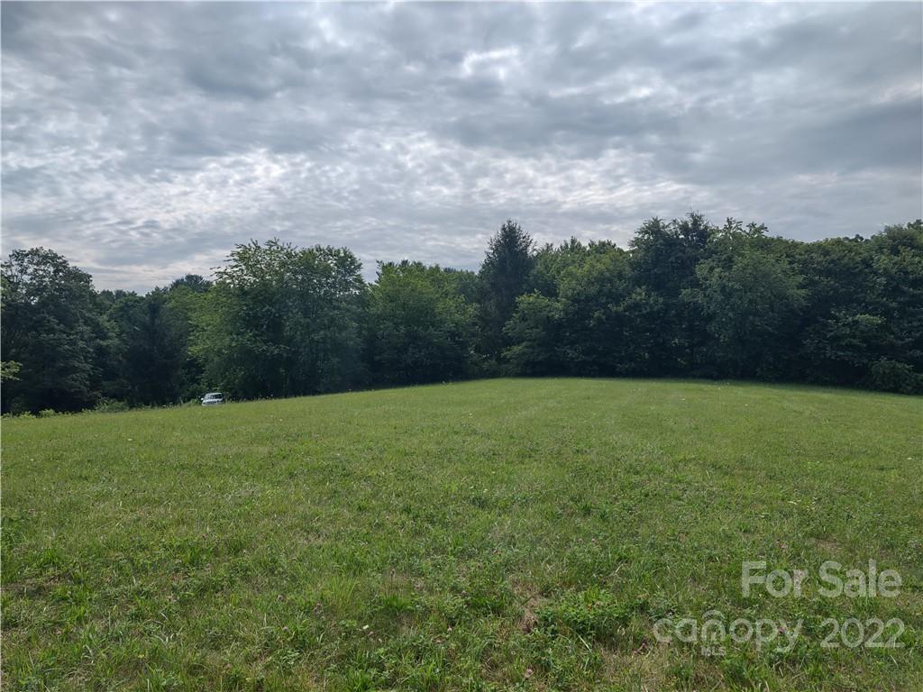 171 Riley Trull Road Canton, NC 28716 - Photo 25 of 31 a view of outdoor space and yard
