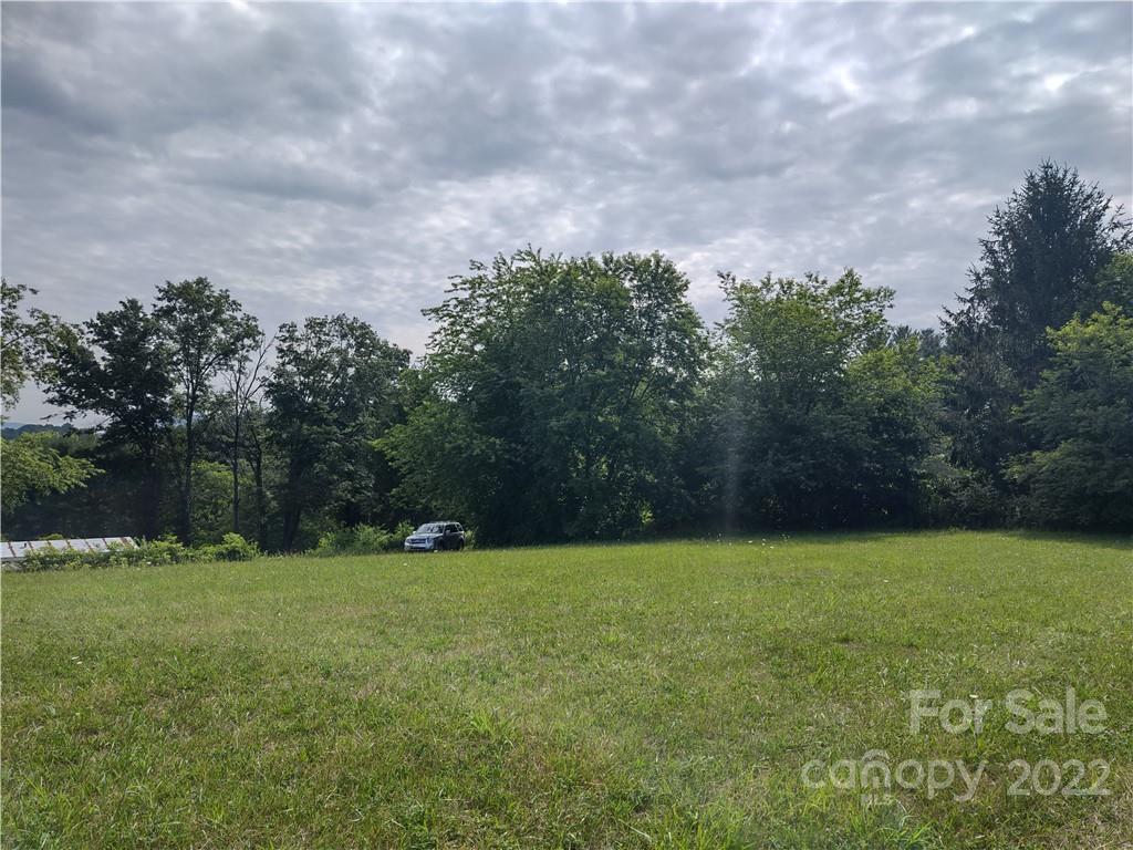 171 Riley Trull Road Canton, NC 28716 - Photo 26 of 31 a view of a field with trees in the background