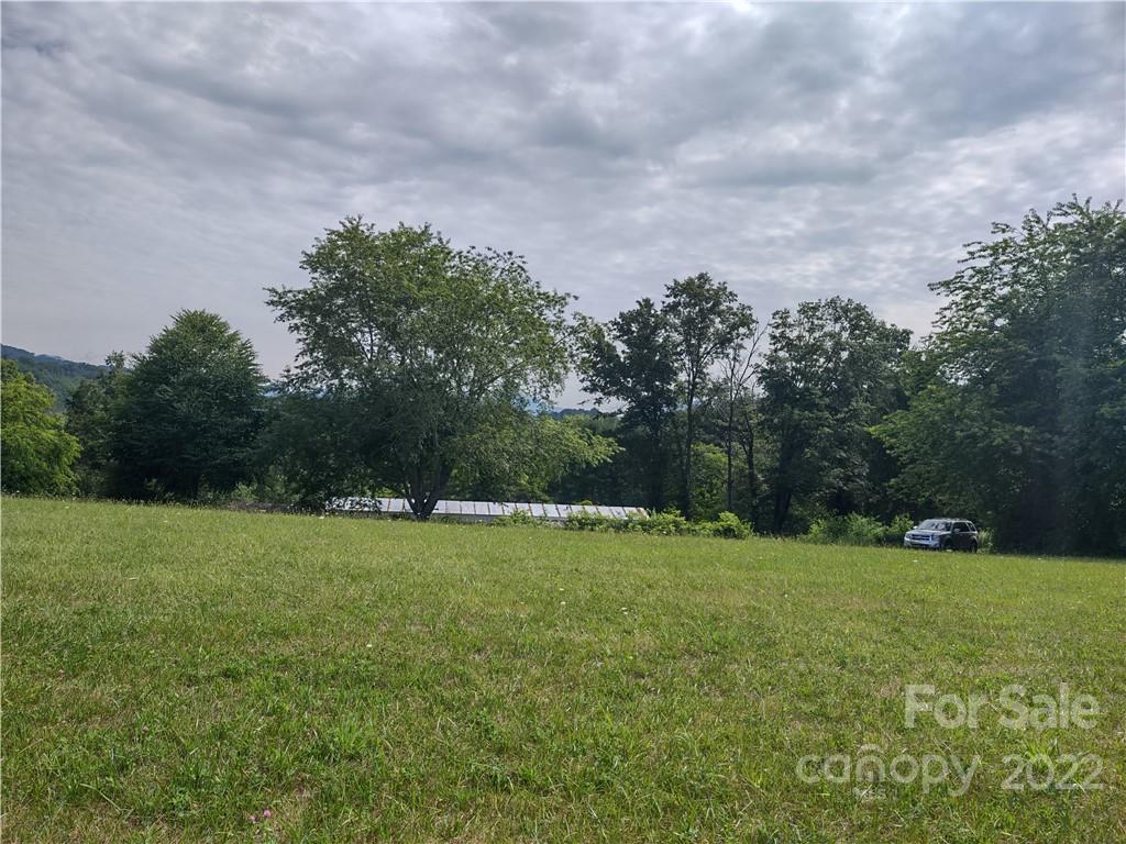 171 Riley Trull Road Canton, NC 28716 - Photo 27 of 31 a view of a grassy field with trees in the background