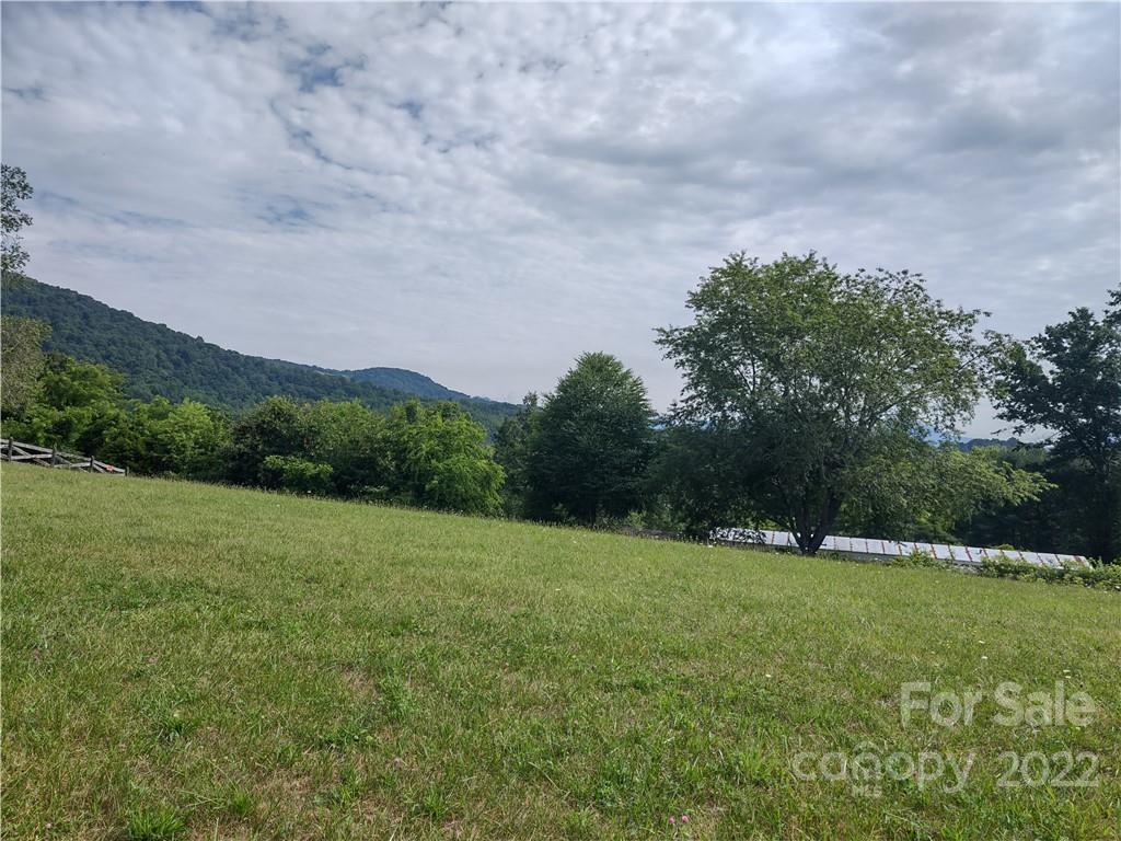 171 Riley Trull Road Canton, NC 28716 - Photo 29 of 31 a backyard of a house with lots of green space
