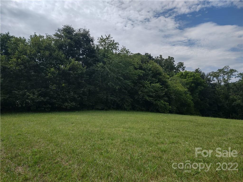 171 Riley Trull Road Canton, NC 28716 - Photo 4 of 31 a view of a field