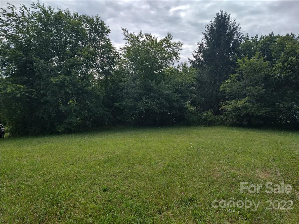 171 Riley Trull Road Canton, NC 28716 - Photo 5 of 31 a view of a field with a trees in the background