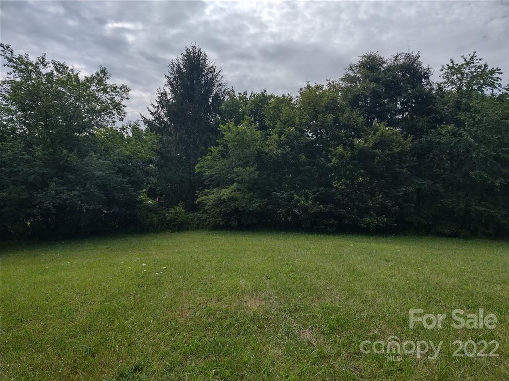 171 Riley Trull Road Canton, NC 28716 - Photo 6 of 31