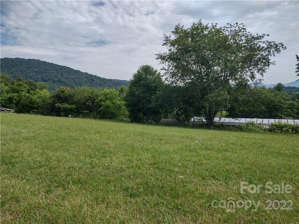 171 Riley Trull Road Canton, NC 28716 - Photo 8 of 31 a view of a green field with wooden fence