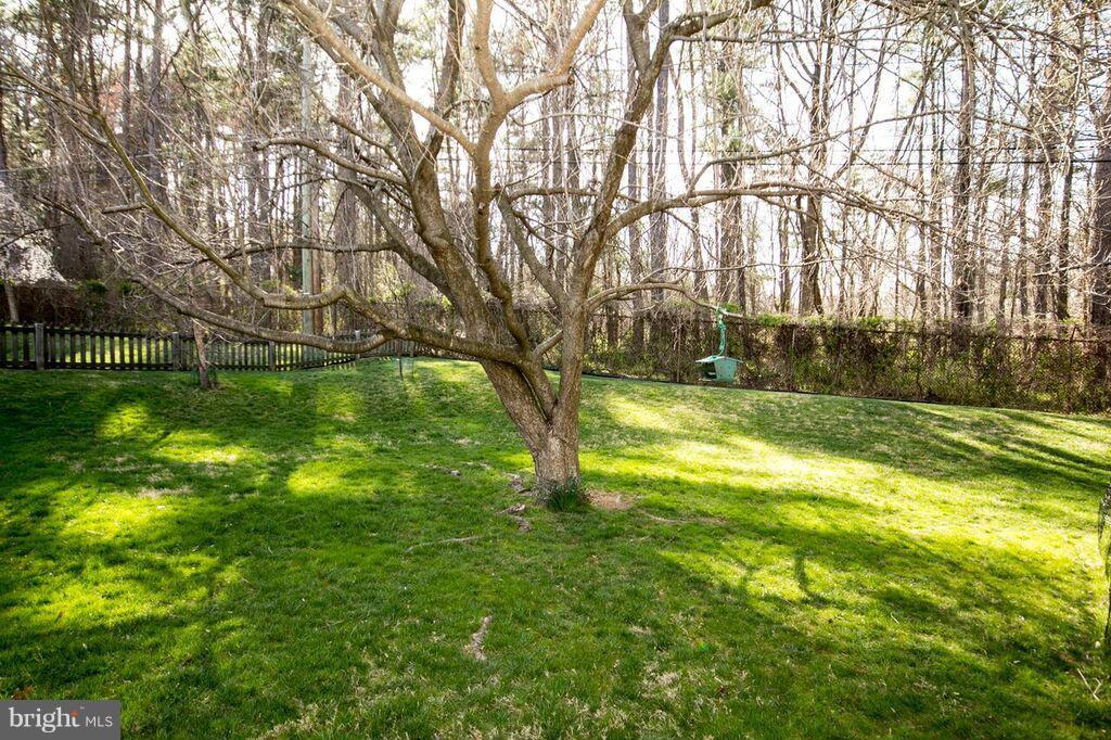 814 Shelley Road Towson, MD 21286 - Photo 20 of 21 Exterior (Rear)