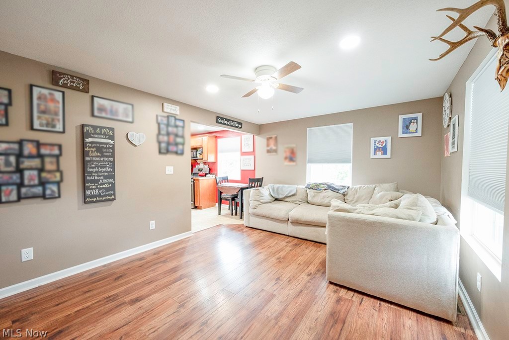 741 State Road Northwest Warren, OH 44483 - Photo 8 of 27 Living room with wood-style laminate floors and ceiling fan and natural sunlight.