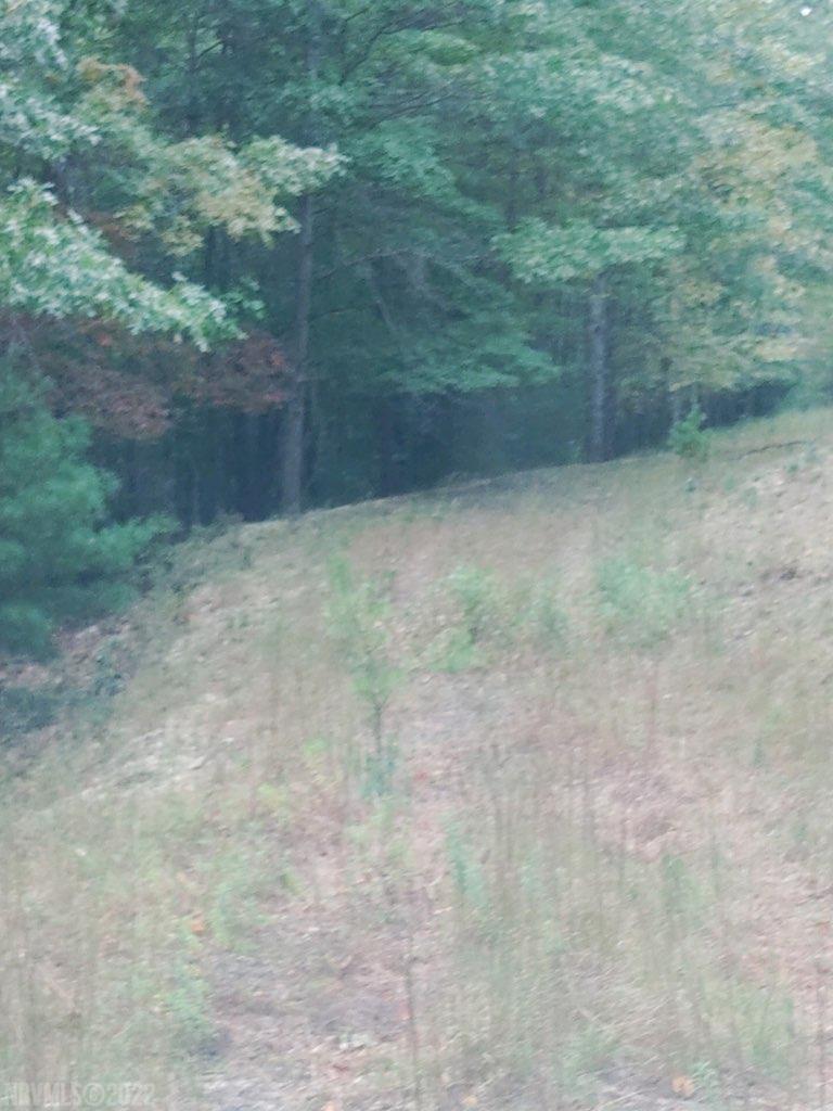 Tbd Sunflower Road Pilot, VA 24138 - Photo 6 of 7 Gallery Image 6