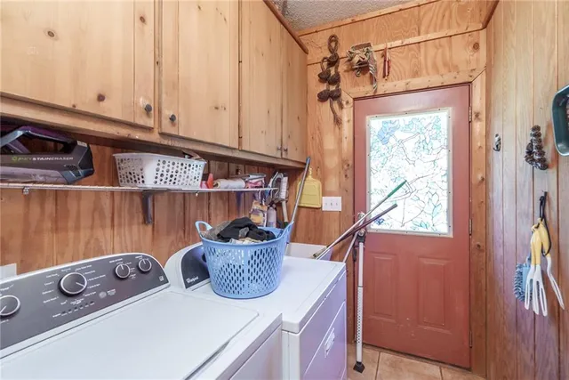 a view of a forest with trees in the background