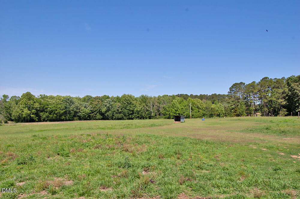 9166 Tilley Road Bullock, NC 27507 - Photo 44 of 86