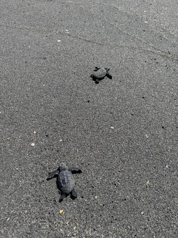 $1,850,000 | 3422 Southeast Fairway West, Stuart, FL 34997