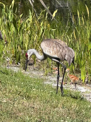 $1,850,000 | 3422 Southeast Fairway West, Stuart, FL 34997