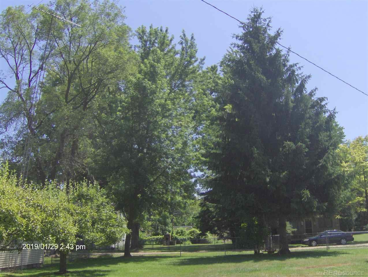7271 Nymph Road Lexington, MI 48450 - Photo 17 of 27 Very spacious yard, looking toward the road.