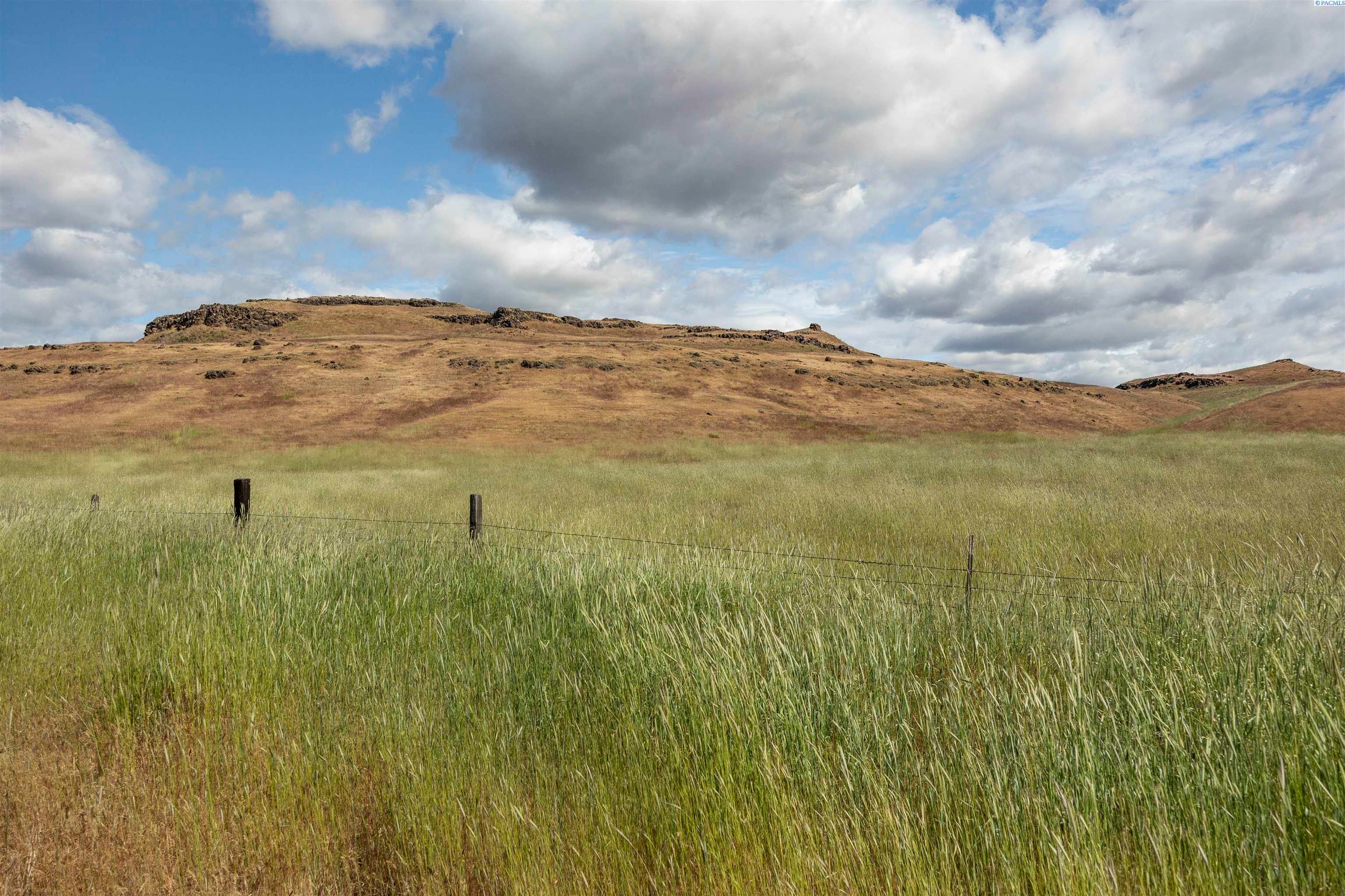 Tbd Quinto Road Eltopia, WA 99330 - Photo 19 of 19 Gallery Image 19