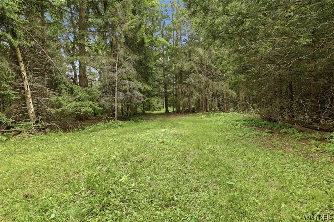 10788 Partridge Road Colden, NY 14080 - Photo 11 of 24