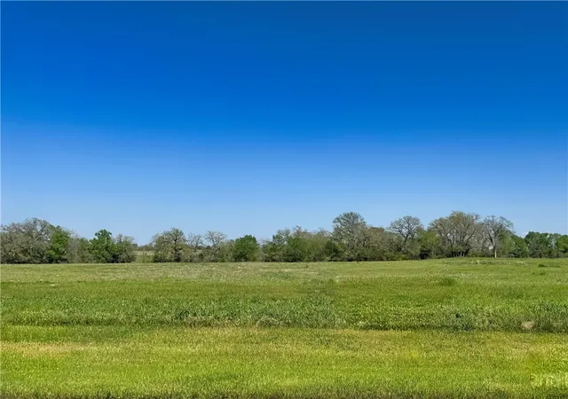a view of a lake from a yard