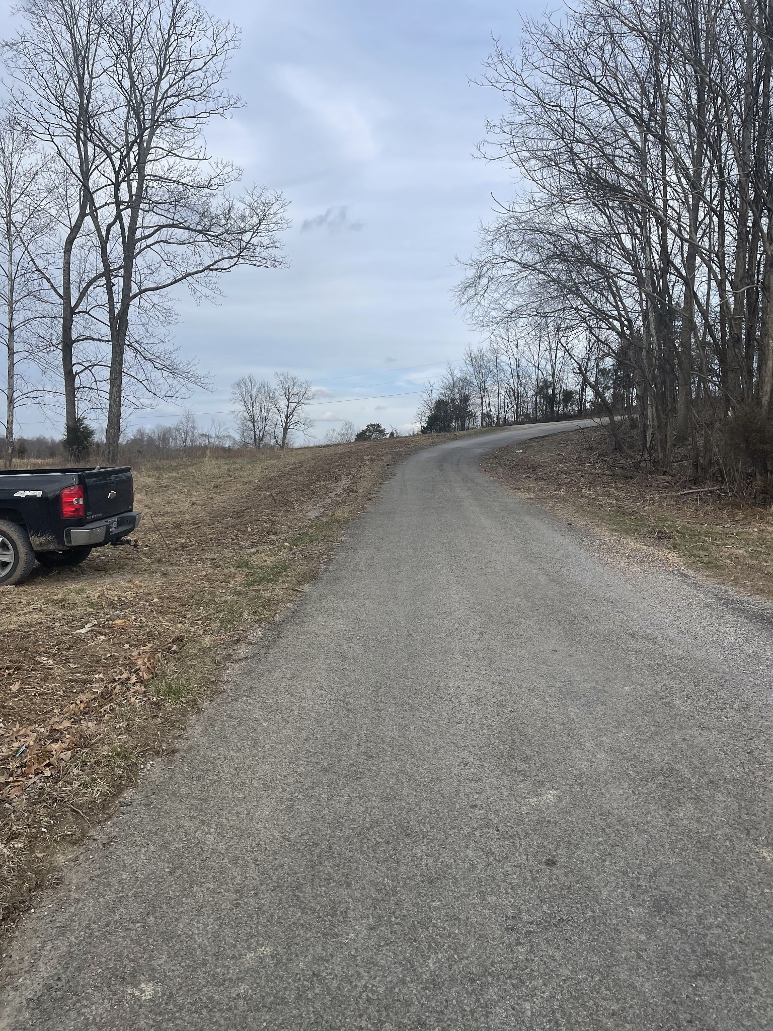 1 Shrum Cemetery Road Westmoreland, TN 37186 - Photo 4 of 10 Gallery Image 4