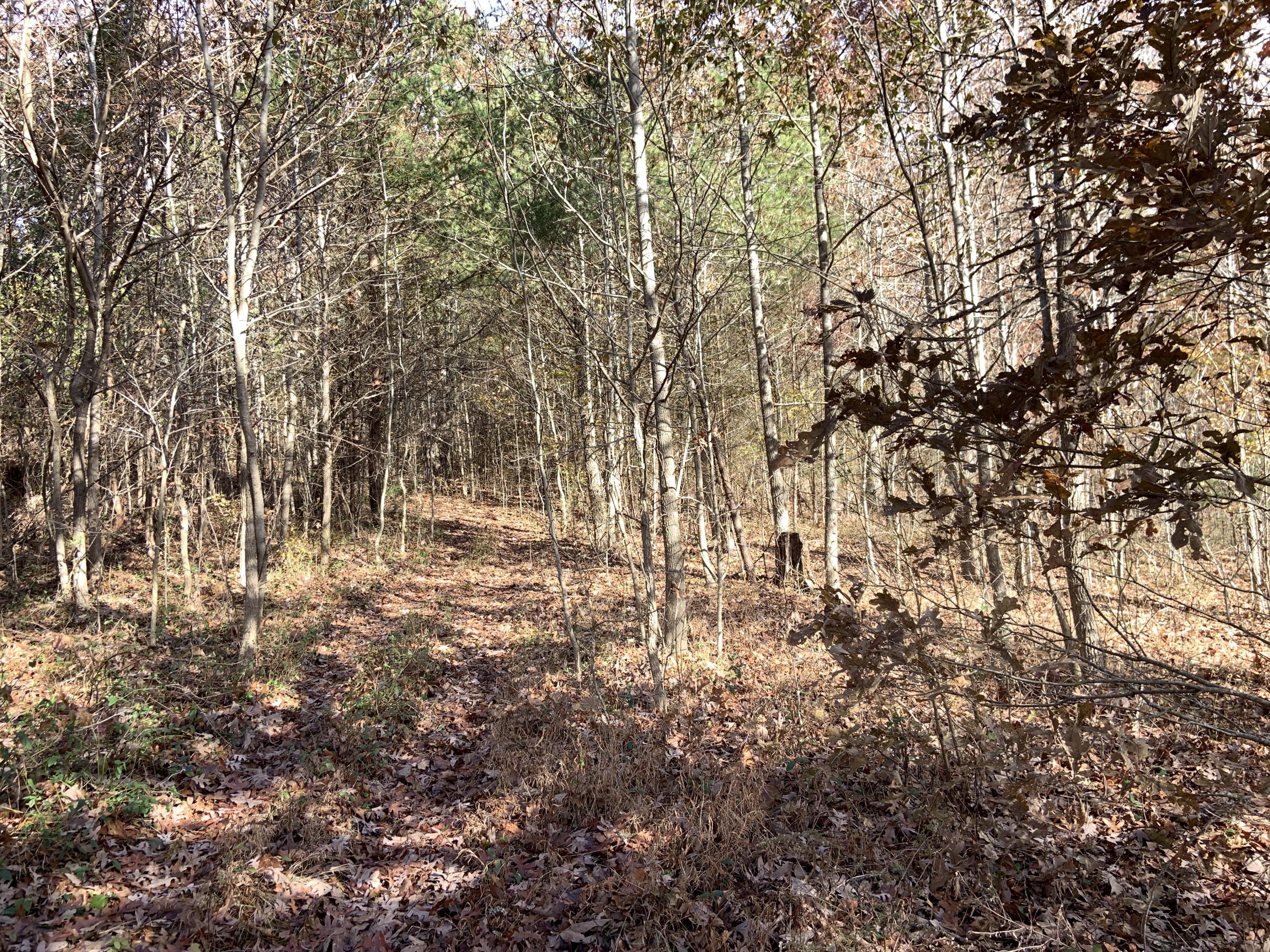 0 Kelley Gap Road Greeneville, TN 37743 - Photo 1 of 8 Photo Nov 21, 10 23 48 AM