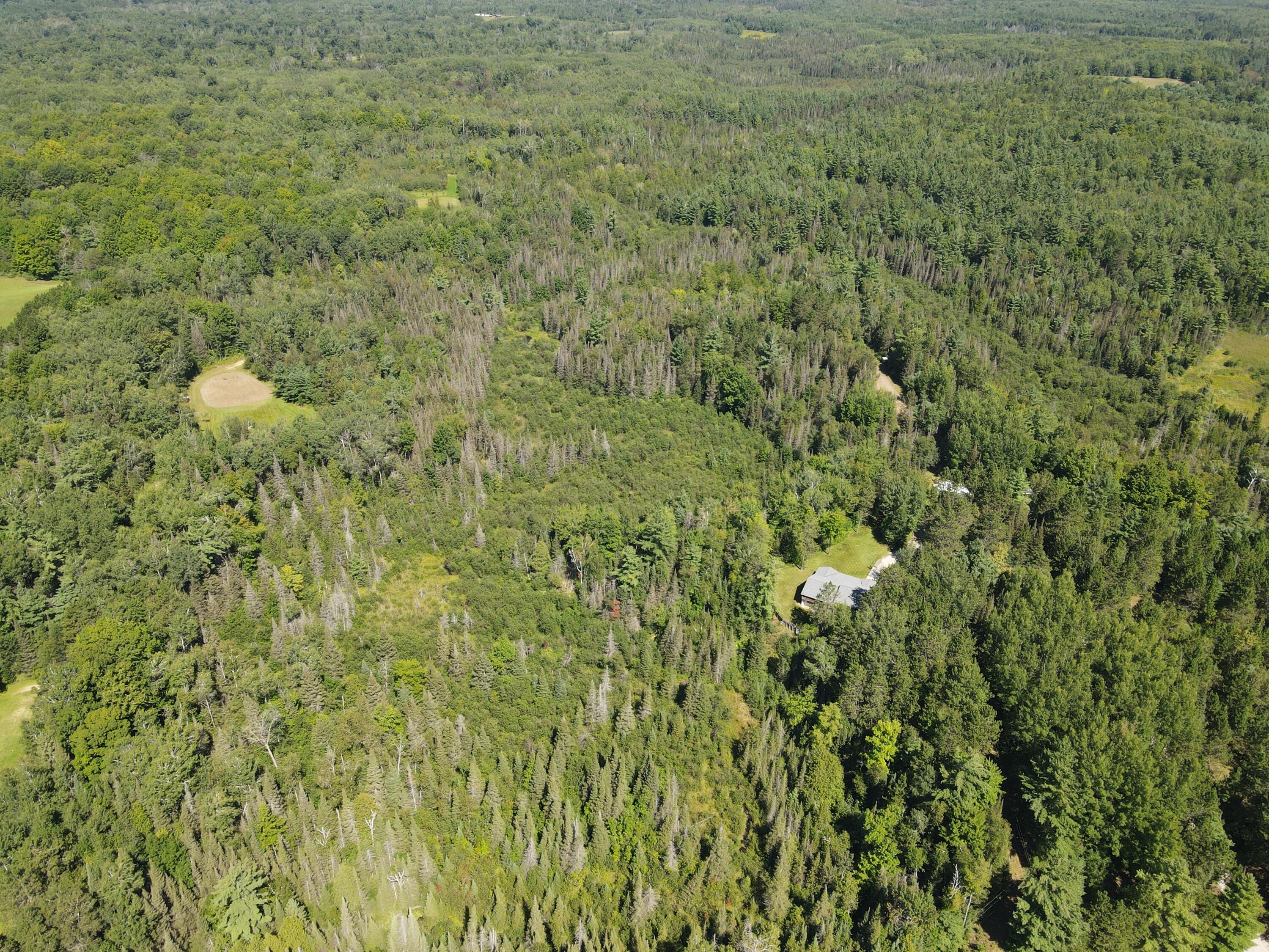 6720 Welch Road Curran, MI 48728 - Photo 104 of 155 DJI_0648