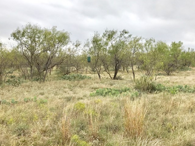 0 South Jameson Road San Angelo, TX 76901 - Photo 10 of 12 Photo 10