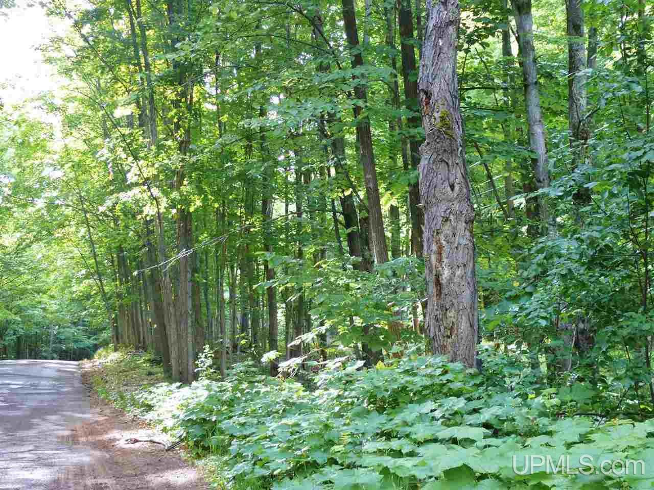 Tbd Tbd Co Road Big Bay, MI 49808 - Photo 4 of 4