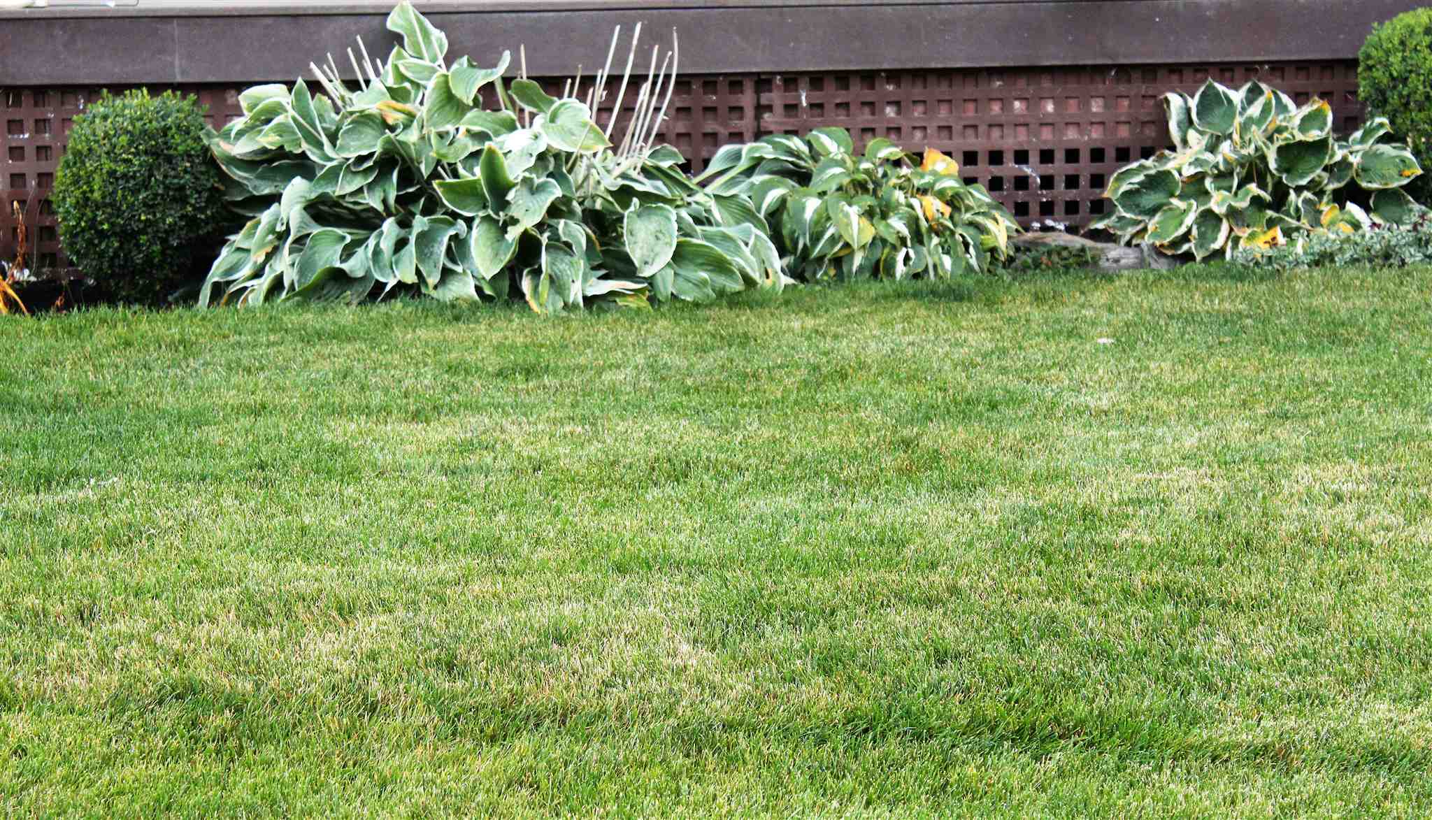 8707 West White Road Cheney, WA 99004 - Photo 45 of 48