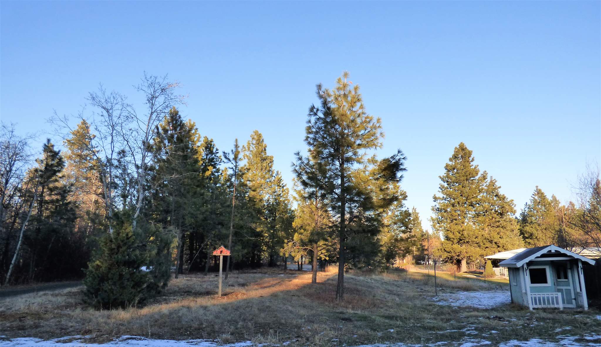 8707 West White Road Cheney, WA 99004 - Photo 47 of 48