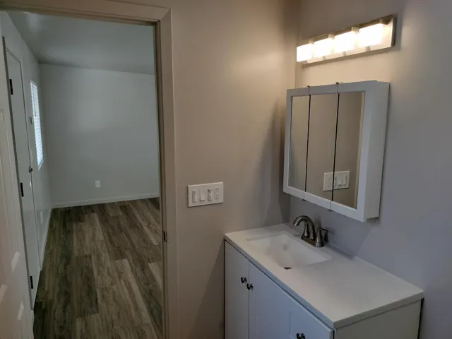 a bathroom with a sink and a mirror