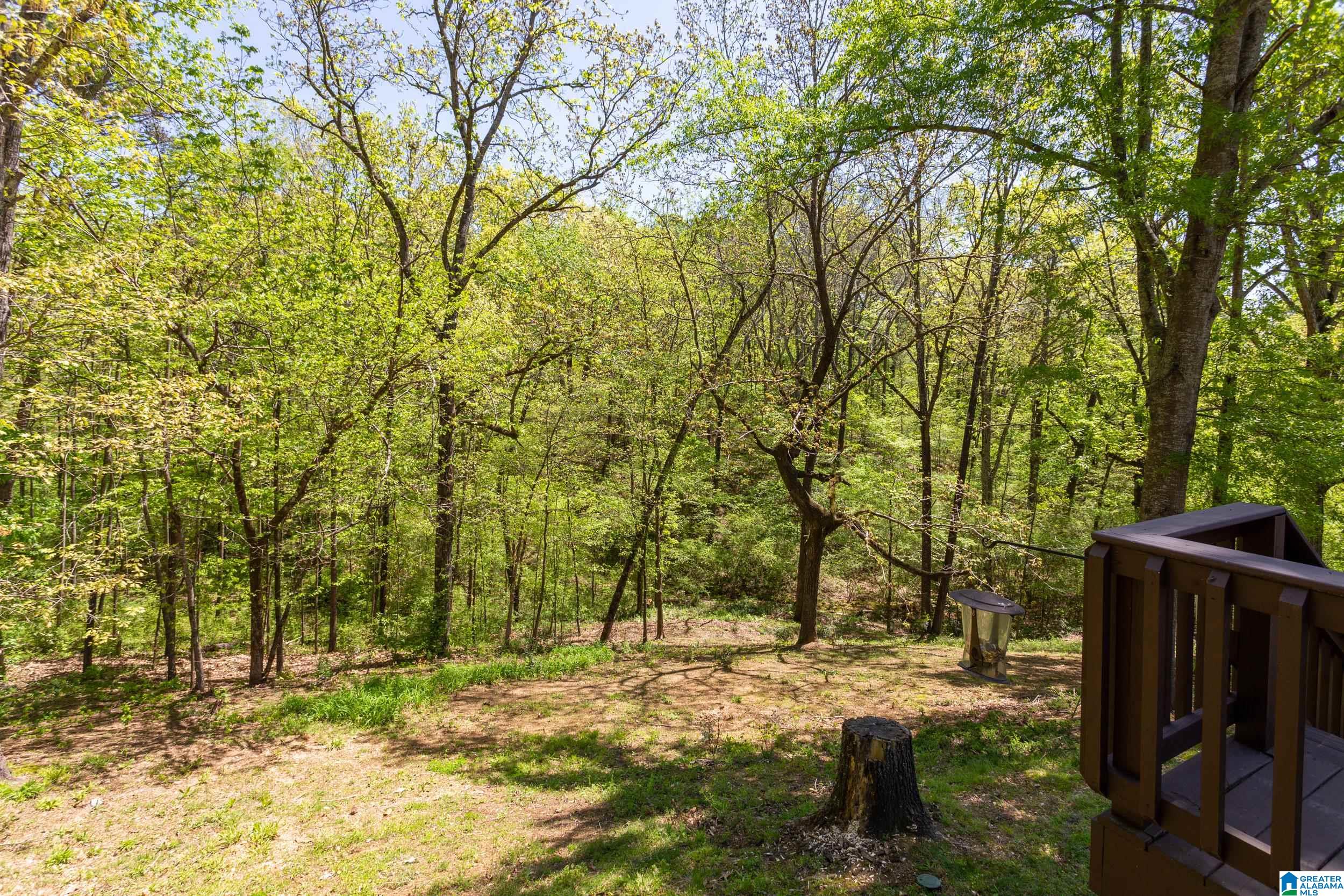 146 Mill Road Springville, AL 35146 - Photo 31 of 34