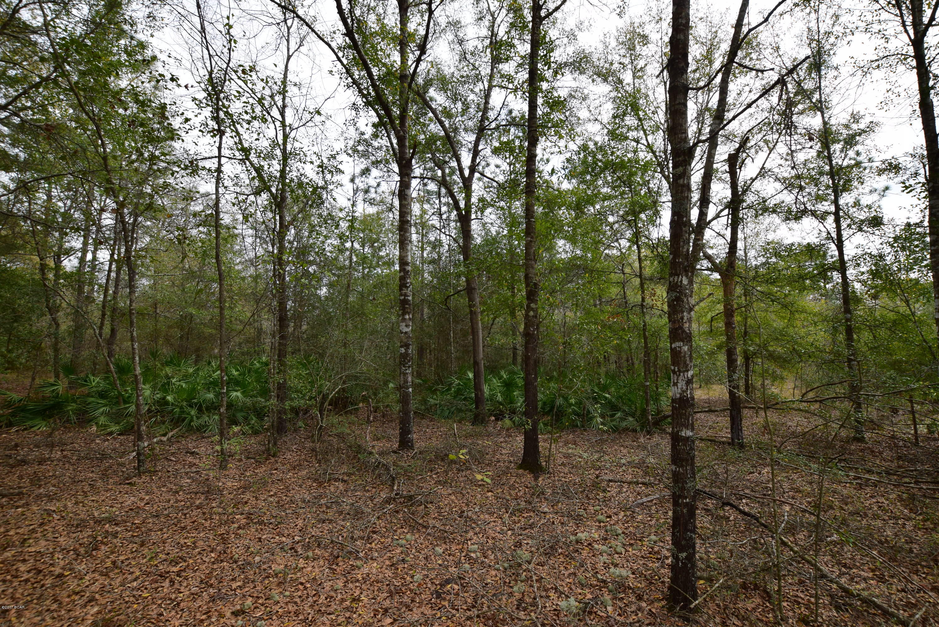 20938 Hightower Road Fountain, FL 32438 - Photo 21 of 29 Gallery Image 21