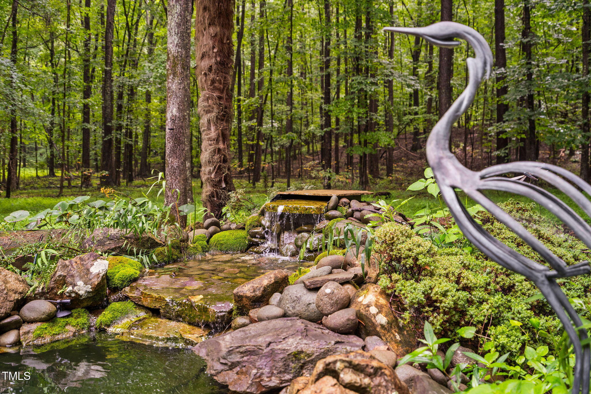 6408 Craig Road Durham, NC 27712 - Photo 55 of 65 Coy Pond