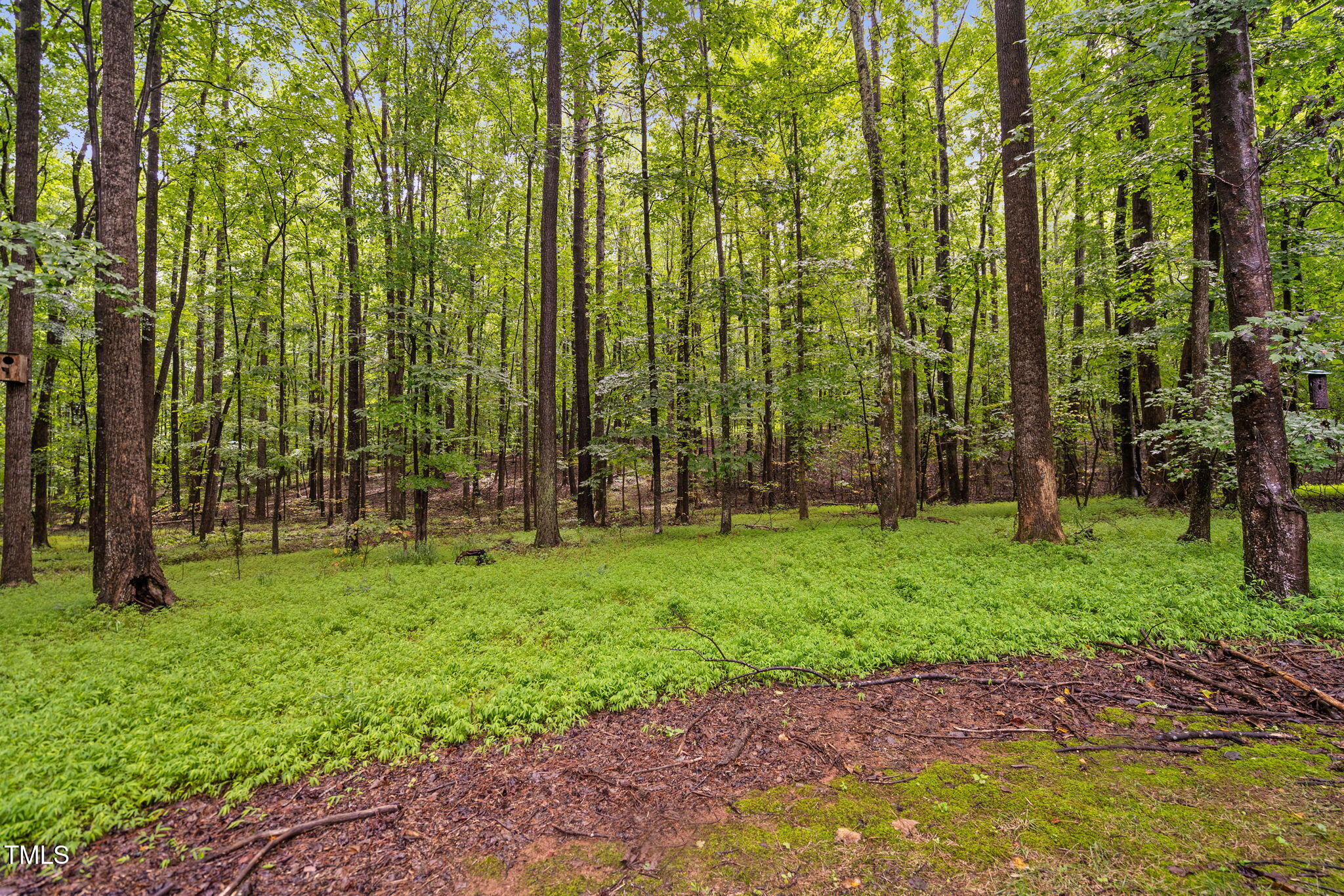 6408 Craig Road Durham, NC 27712 - Photo 62 of 65 3.07 Acres