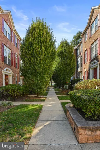 a park with lots of trees in the background
